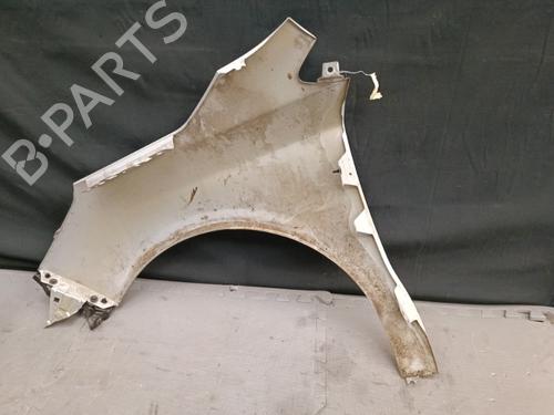 Right front fenders CITROËN C4 II (NC_) 1.6 HDi 110 | BP21324700C42 