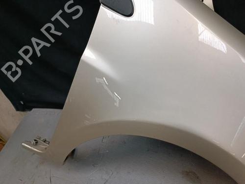 Right front fenders RENAULT CLIO III (BR0/1, CR0/1) 1.5 dCi (BR17, CR17) | BP21325979C42 