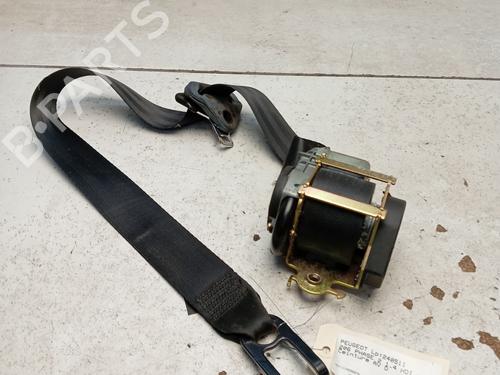 Front right belt tensioner PEUGEOT 206 Hatchback (2A/C) 1.4 HDi eco 70 | BP29269991C88 