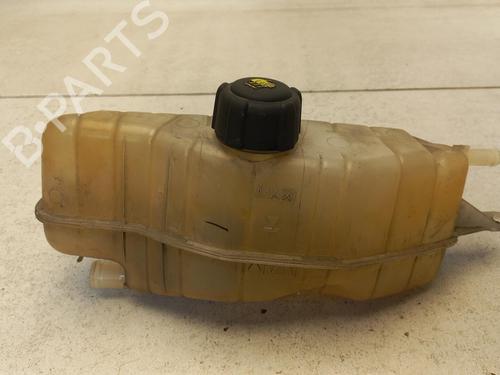 Used Expansion tank RENAULT CLIO III (BR0/1, CR0/1) 1.5 dCi (75 hp) 21323099