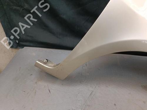 Right front fenders RENAULT CLIO III (BR0/1, CR0/1) 1.5 dCi (BR17, CR17) | BP21325979C42 