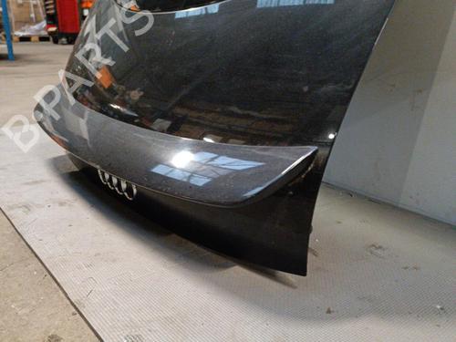 Tailgate AUDI TT (8N3) 1.8 T | BP21325130C6 