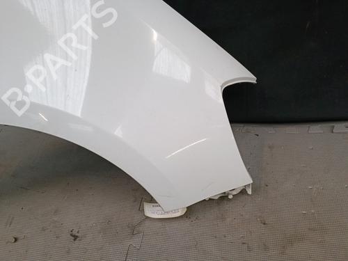 Right front fenders RENAULT CLIO III (BR0/1, CR0/1) 1.5 dCi (C/BR0G, C/BR1G) | BP21324535C42