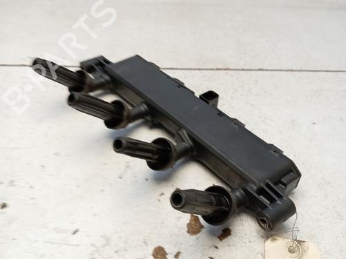 Used Injection rail PEUGEOT 206+ (2L_, 2M_) 1.4 i (2LKFWA, 2MKFWA) (75 hp) 29425323