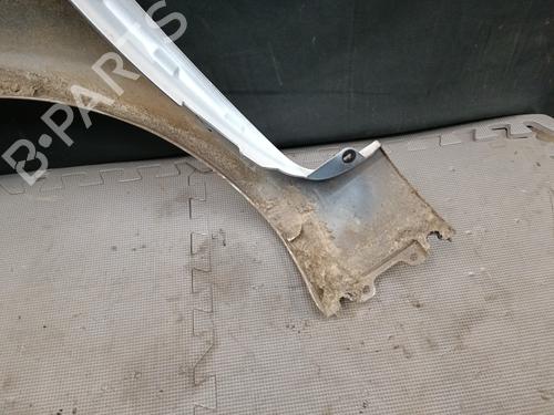 Right front fenders RENAULT CLIO III (BR0/1, CR0/1) 1.5 dCi (C/BR0G, C/BR1G) | BP21324535C42
