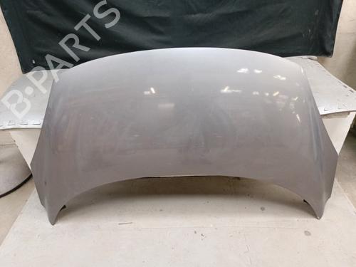 Used Hood RENAULT SCÉNIC III (JZ0/1_) 1.5 dCi (110 hp) 21325825