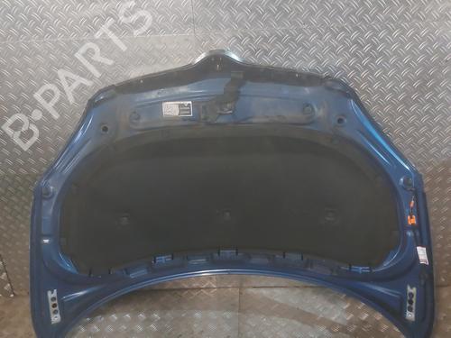 Hood SKODA FABIA II (542) 1.4 TDI | BP21513608C1 