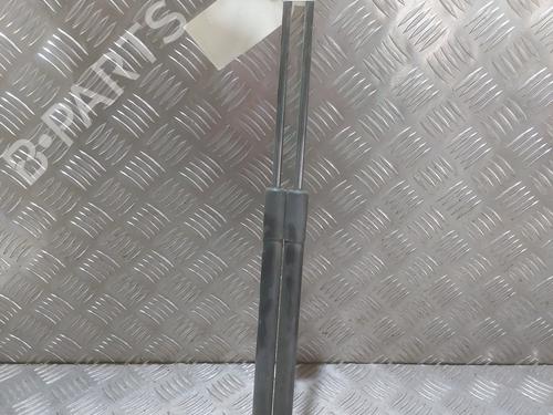 Tailgate lift support VW POLO V (6R1, 6C1) 1.6 TDI | BP24953383C138 