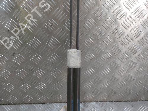 Gassdemper Bakluke FIAT PANDA (169_) 1.1 (169.AXA1A) (54 hp) 24503084