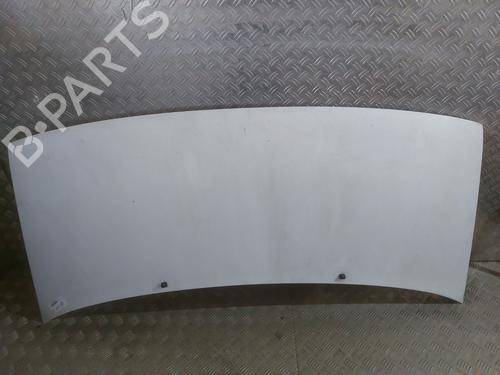 Used Hood PEUGEOT EXPERT (224_) 2.0 HDI 16V (109 hp) 27176725