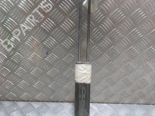 Tailgate lift support RENAULT ZOE (BFM_) ZOE (BFMC, BFMD) | BP24467348C138