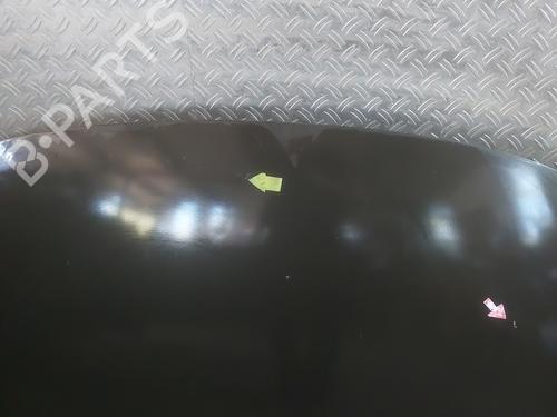 Hood RENAULT SCÉNIC III (JZ0/1_) 1.9 dCi (JZ0J, JZ1J, JZ1K, JZ1S) | BP26461840C1 