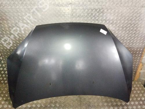 Panser FORD FOCUS II (DA_, HCP, DP) 1.6 TDCi (109 hp) 21505084