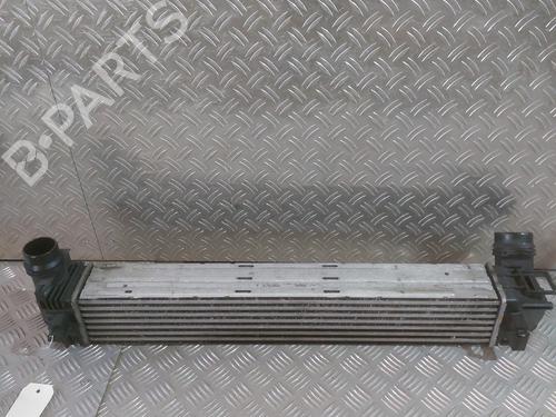 Used Intercooler Intercooler RENAULT MEGANE III Coupe (DZ0/1_) 1.9 dCi (DZ0N, DZ0J, DZ1J, DZ1K) (131 hp) 25894527 25894527