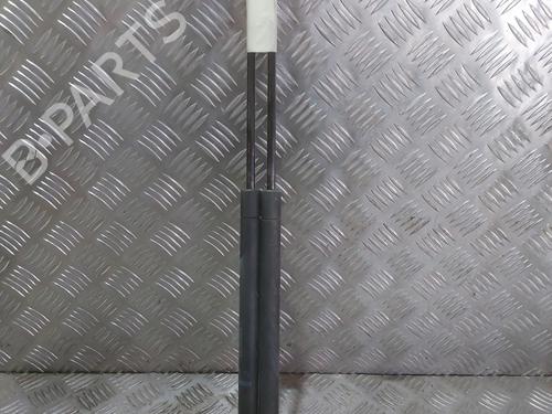 Used Tailgate lift support RENAULT GRAND SCÉNIC II (JM0/1_) 1.9 dCi (JM14) (131 hp) 23811238