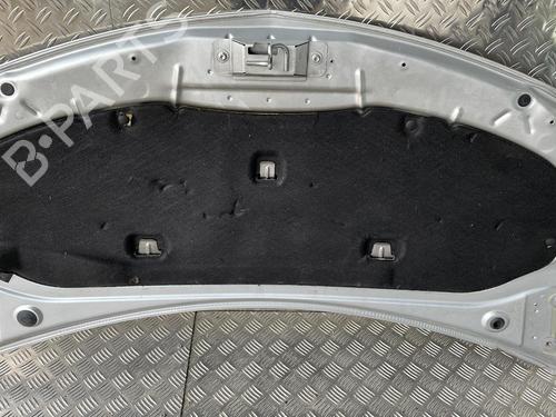Used Hood RENAULT CLIO III (BR0/1, CR0/1) 1.5 dCi (BR0H, CR0H, CR1S, BR1S) (106 hp) 21507290