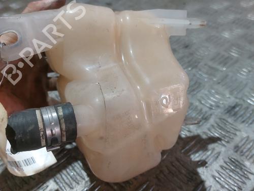 Expansion tank FIAT PANDA (312_, 319_) 1.3 D Multijet (312PXU1A, 312PXW1A) | BP22338490C120 