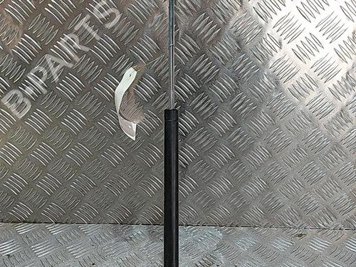 Used Tailgate lift support RENAULT TWINGO I (C06_) 1.2 (C066, C068) (58 hp) 21504717