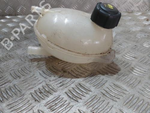 Expansion tank RENAULT CLIO IV (BH_) 1.5 dCi 75 | BP21504870C120 