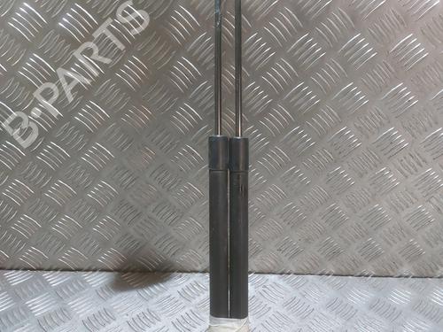 Tailgate lift support DACIA LODGY (JS_) 1.2 TCe (JSAY, JSM0) | BP30759216C138