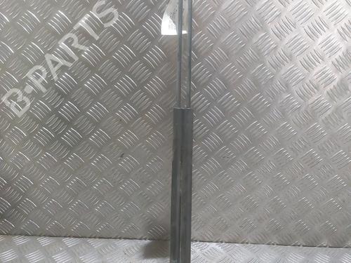 Tailgate lift support FORD TRANSIT CONNECT (P65_, P70_, P80_) 1.8 Di | BP29756125C138