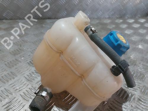 Expansion tank FIAT PANDA (312_, 319_) 1.3 D Multijet (312PXU1A, 312PXW1A) | BP22338490C120 