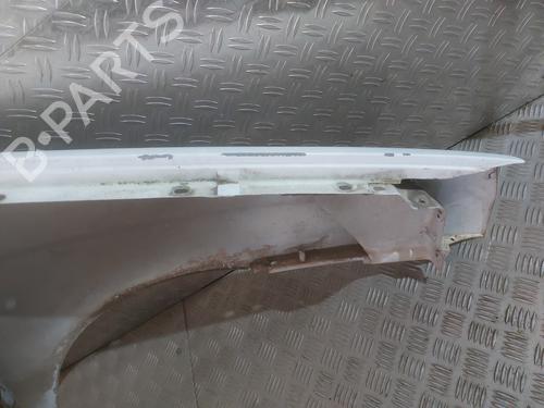 Left front fenders FIAT DOBLO Box Body/MPV (223_) 1.9 D (223ZXB1A) | BP29339808C41 