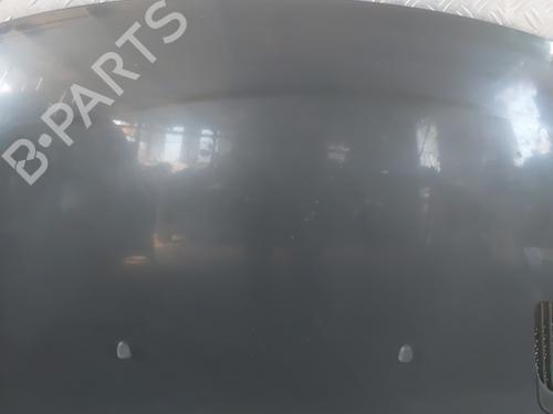 hood-peugeot-206-2l_-2m_-2009-2010-2011-2012-2013-30600600 main image