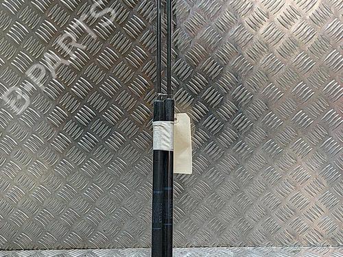 Used Tailgate lift support RENAULT MEGANE III Coupe (DZ0/1_) 1.5 dCi (DZ09, DZ0D, DZ1F, DZ1G, DZ14, DZ29) (110 hp) 21504130