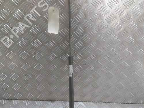 Hood lift support CITROËN XSARA Coupe (N0) 2.0 HDI 90 | BP24516388C139 