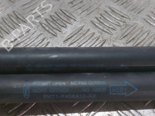 Tailgate lift support FORD S-MAX (WA6) 2.0 TDCi | BP23810863C138 