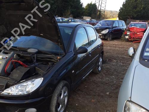 Right front door PEUGEOT 206 Hatchback (2A/C) 2.0 HDI 90 | BP21512568C3 