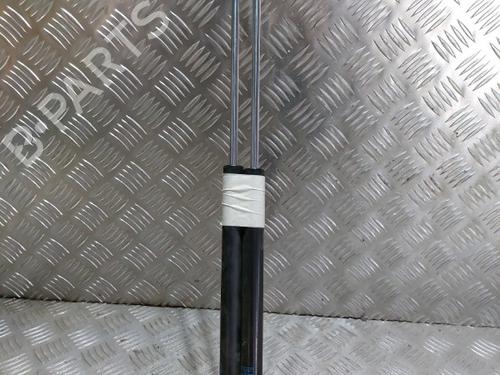 Used Tailgate lift support CITROËN AX (ZA-_) 11 (54 hp) 21511831