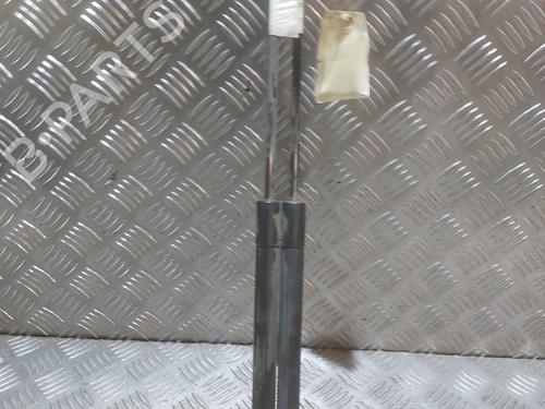 tailgate-lift-support-peugeot-208-i-ca_-cc_-2012-2013-2014-2015-2016-2017-2018-2019-2020-2021-27479759 main image