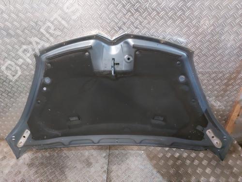 Hood CITROËN C4 Grand Picasso I (UA_) 2.0 HDi 138 | BP22299391C1