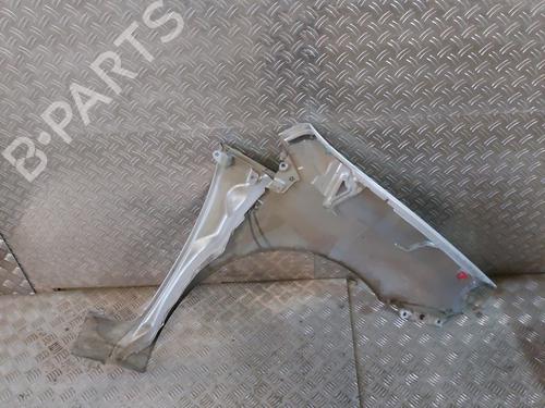 Left front fenders FIAT GRANDE PUNTO (199_) 1.3 D Multijet | BP21669817C41 