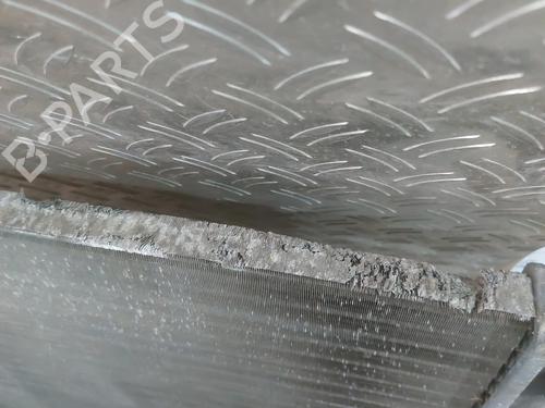 Used Water radiator Water radiator RENAULT TWINGO I (C06_) 1.2 16V (C06C, C06D, C06K) (75 hp) 25034830 25034830