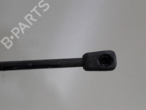 Used Hood lift support RENAULT MEGANE III Hatchback (BZ0/1_, B3_) 1.5 dCi (BZ09, BZ0D, BZ1W, BZ29, BZ14) (110 hp) 27733766