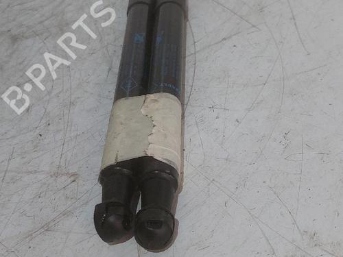 tailgate-lift-support-renault-twingo-ii-cn0_-2007-33728303 main image