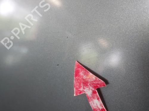 Hood PEUGEOT 406 (8B) 2.0 HDI 110 | BP25487222C1