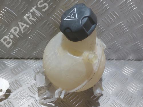 expansion-tank-citroen-ds3-sa_-2009-2010-2011-2012-2013-2014-2015-2016-29913082 main image