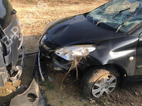 Left rear door PEUGEOT 206+ (2L_, 2M_) 1.4 i (2LKFWA, 2MKFWA) | BP21668513C4