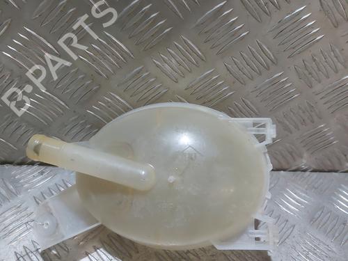 expansion-tank-dacia-lodgy-js_-2012-30822861 main image