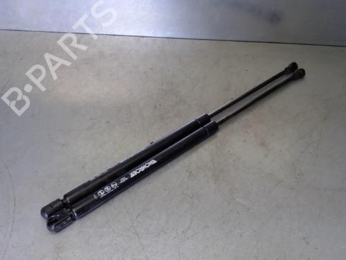 Used Tailgate lift support PEUGEOT 207 (WA_, WC_) 1.6 HDi (109 hp) 30813140