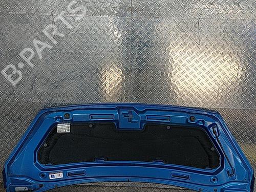 Used Hood PEUGEOT 1007 (KM_) 1.6 16V (109 hp) 21514858