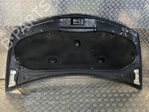 Hood RENAULT CLIO III (BR0/1, CR0/1) 1.5 dCi (BR17, CR17) | BP21511778C1 