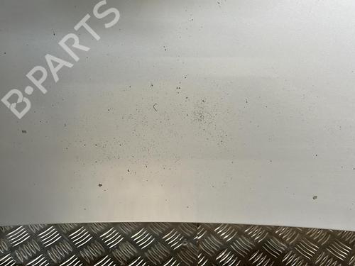 Used Hood CITROËN BERLINGO / BERLINGO FIRST MPV (MF_, GJK_, GFK_) 2.0 HDI 90 (MFRHY) (90 hp) 21511753