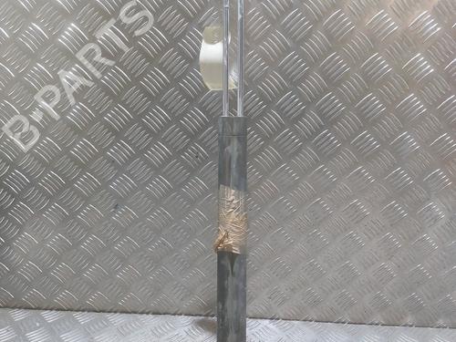 Used Tailgate lift support Tailgate lift support CITROËN BERLINGO / BERLINGO FIRST MPV (MF_, GJK_, GFK_) 1.6 HDI 90 (MF9HX) (90 hp) 27599066 27599066