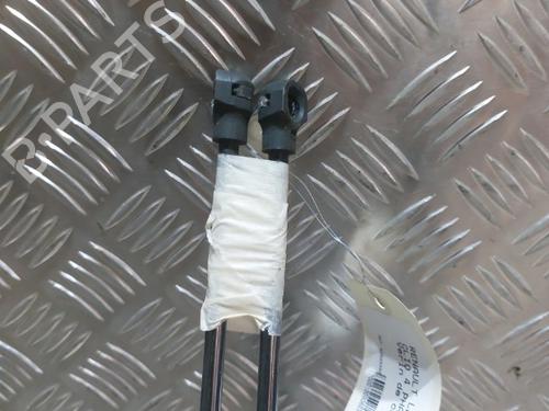 Tailgate lift support RENAULT CLIO IV (BH_) 1.5 dCi 75 | BP25261333C138 