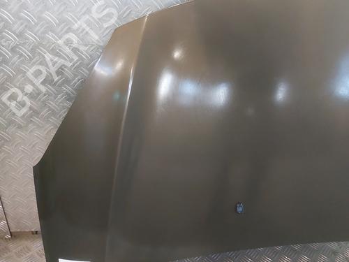 hood-citroen-c3-ii-sc_-2009-30480542 main image